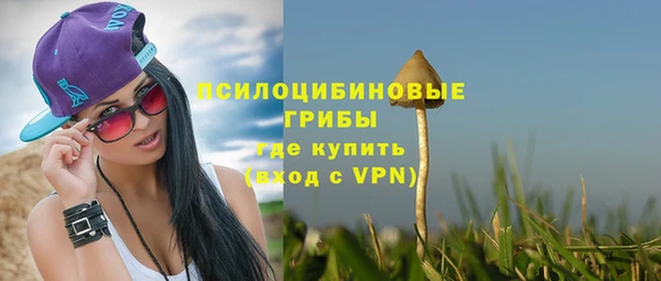 соль курить ск Арсеньев