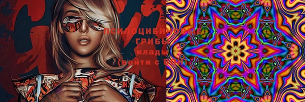 прущие грибы Алексин