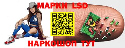 индика Дубна