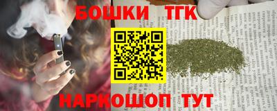 индика Дубна