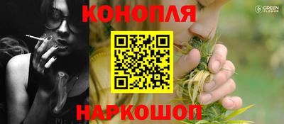 индика Дубна