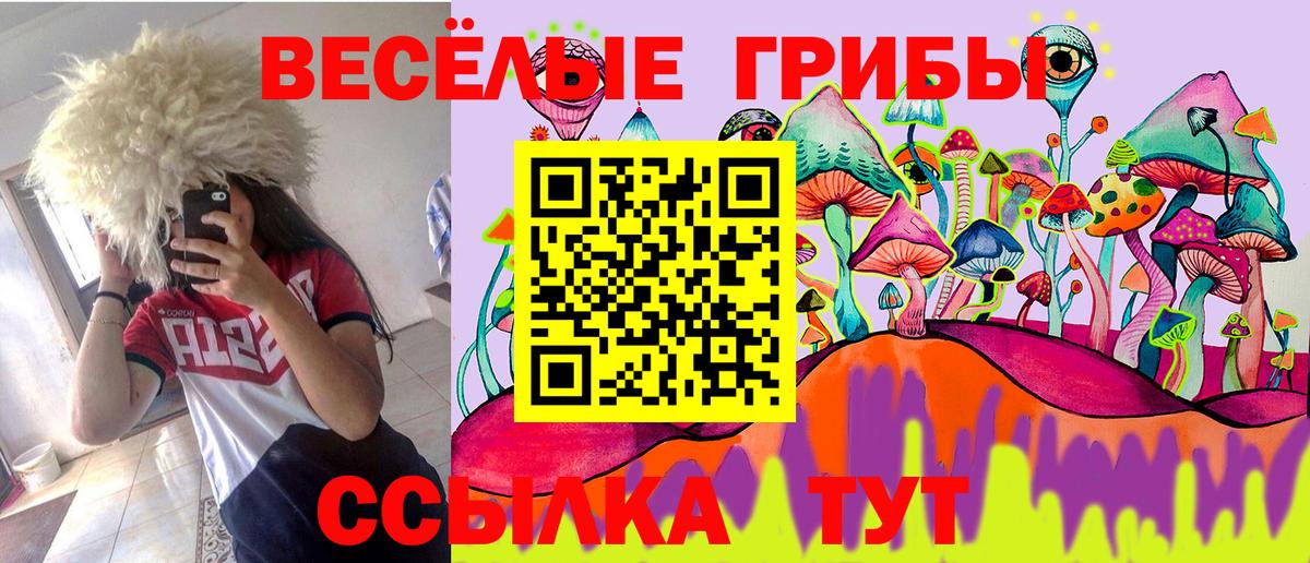 Галлюциногенные грибы прущие грибы Майкоп
